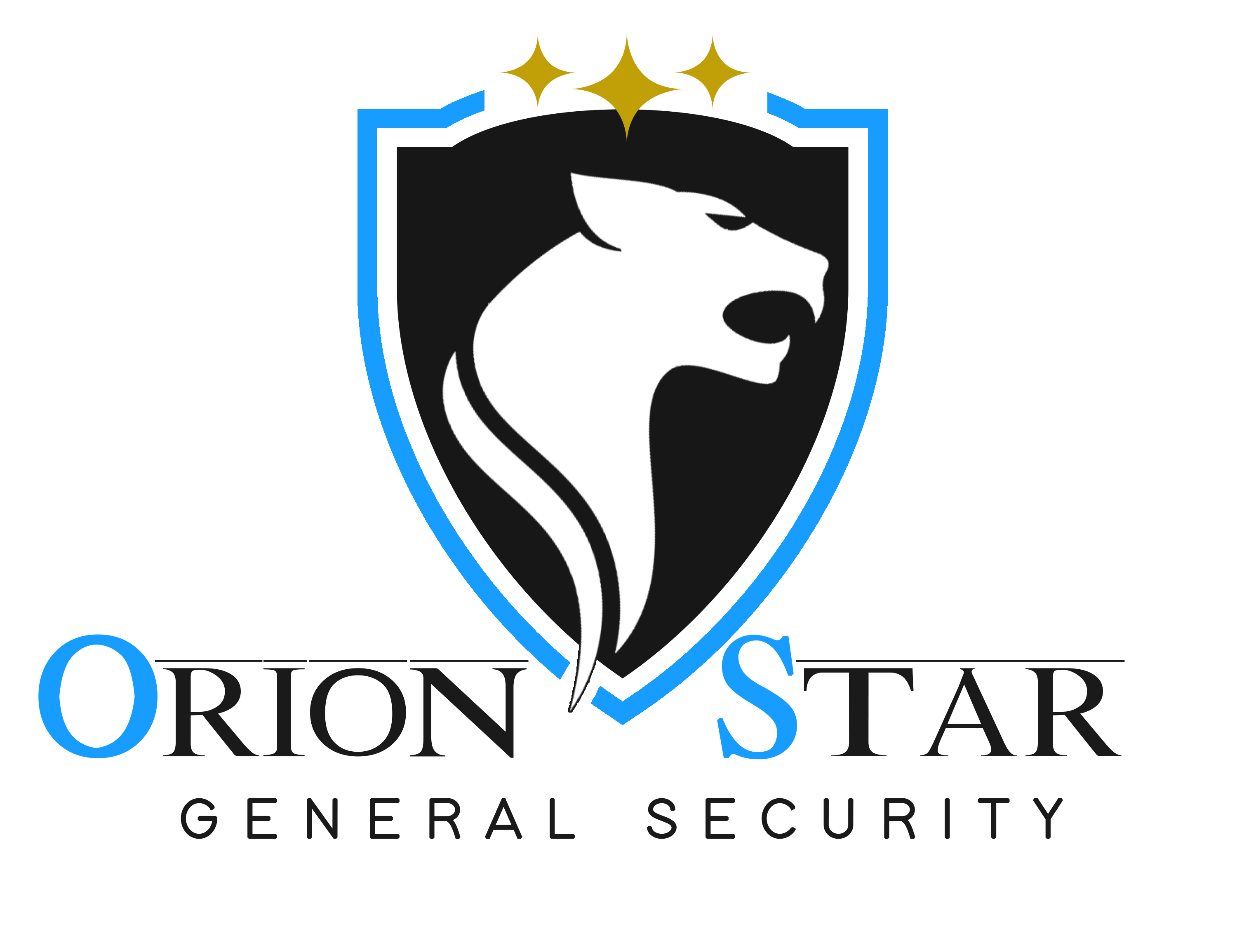 Orion Star Security Logo test